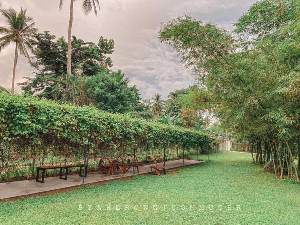Dreamink Farm Og Myl'S Place Sorsogon Esterno foto