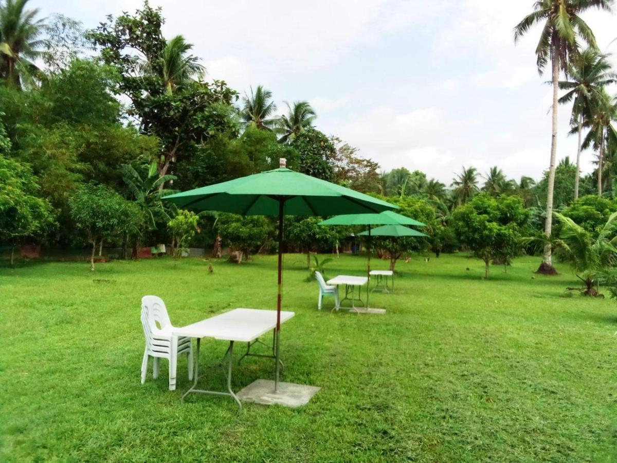 Dreamink Farm Og Myl'S Place Sorsogon Esterno foto