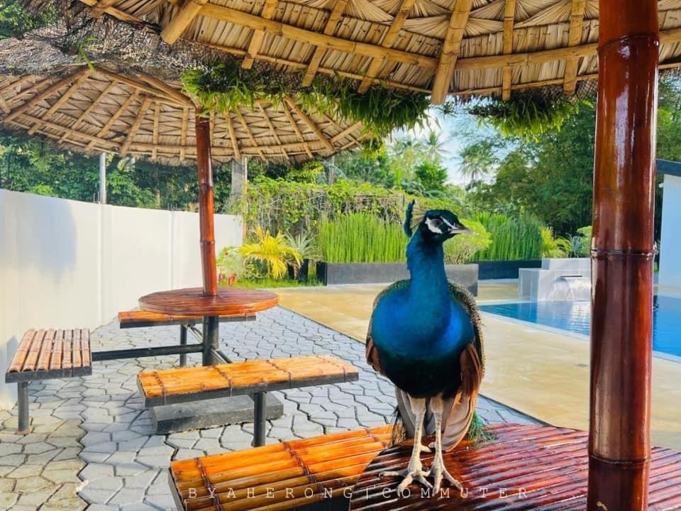 Dreamink Farm Og Myl'S Place Sorsogon Esterno foto