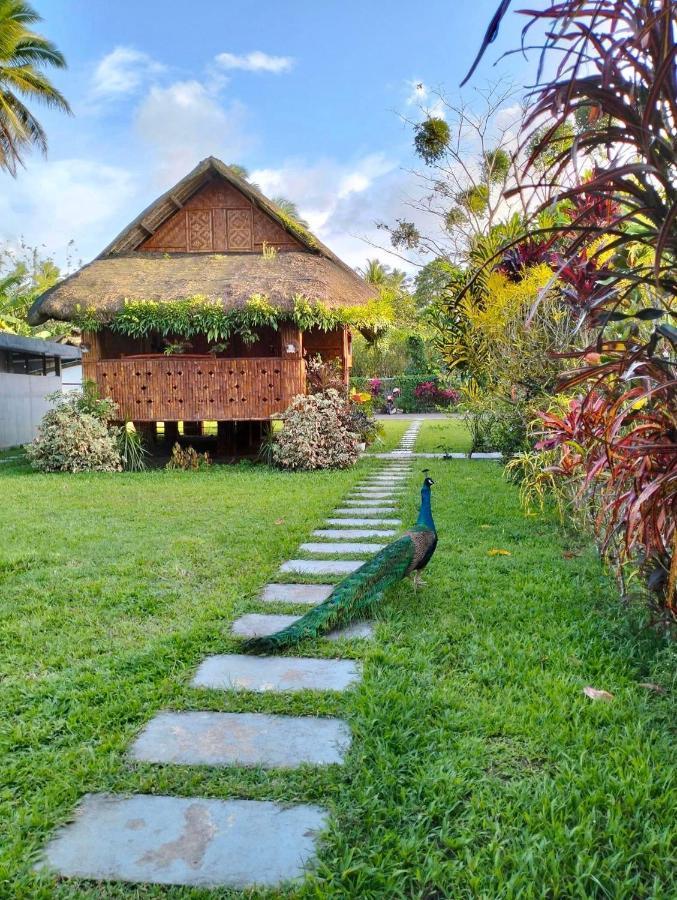 Dreamink Farm Og Myl'S Place Sorsogon Esterno foto
